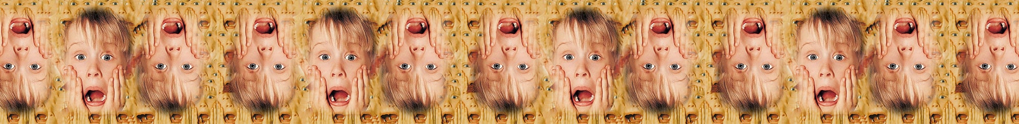 Het Grote Macaulay Culkin Dossier